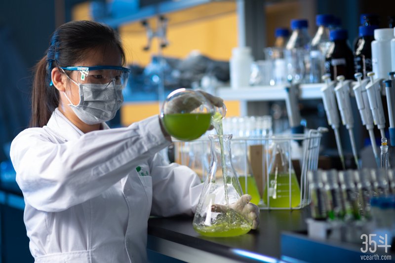 生物技术研发：解锁生命的秘密之匙