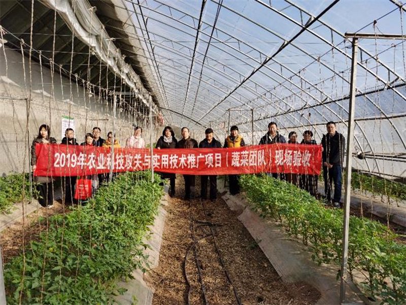 选购指南：如何挑选优质生物技术研发项目