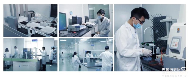 生物科技公司引领未来医疗变革